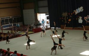 Gala176.jpg